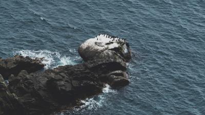 Rocks water aerial view image 4k wallpaper