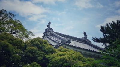Roof trees sky clouds 4k wallpaper