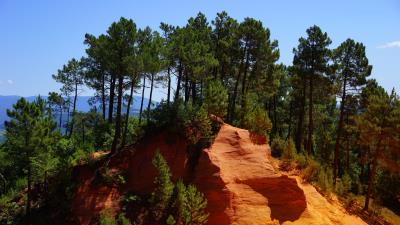 Roussillon rock quarry trees 4k wallpaper