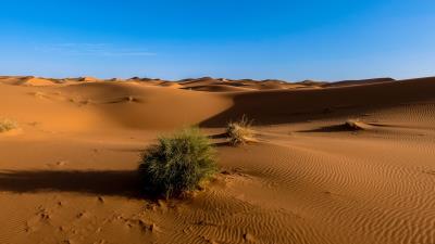 Sahara desert sand sky 4k wallpaper