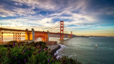 San francisco usa pacific ocean california sailboat flowers 4k wallpaper