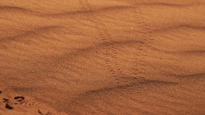 Sand traces desert 4k wallpaper