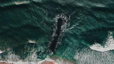 Sea coast aerial view h 4k wallpaper