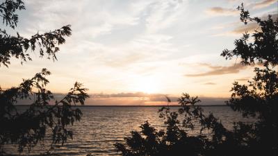 Sea horizon branches image 4k wallpaper