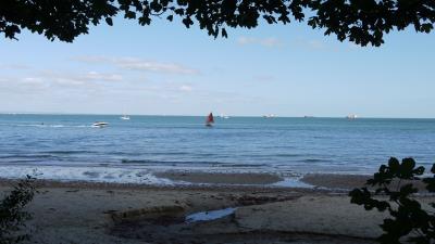 Sea shore branches landscap 4k wallpaper