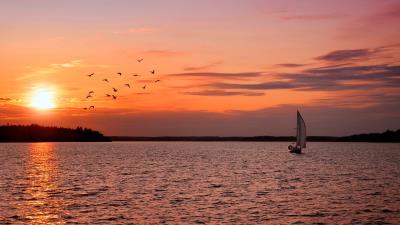 sailing vessel decline sea birds surface of the water ripples lilac 4k wallpaper