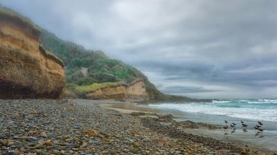 sea beach rocks clouds birds landscape 4k wallpaper