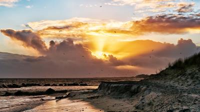 sea coast seagulls birds decline clouds 4k wallpaper