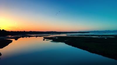 sea sunset shore birds 4k wallpaper