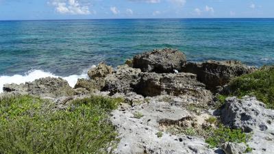 Sea surf rocks 4k wallpaper