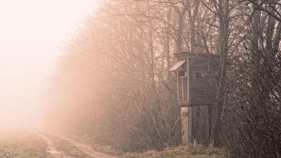 Shack trees fog 4k wallpaper