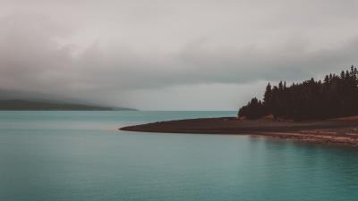 Shore trees sea 4k wallpaper