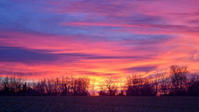 Sky colorful horizon trees 4k wallpaper