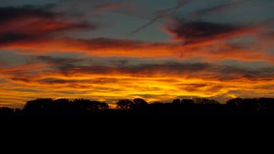 Sky sunset trees 4k wallpaper