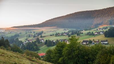 Slope house trees 4k wallpaper