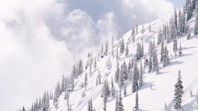 Slope mountain trees 4k wallpaper