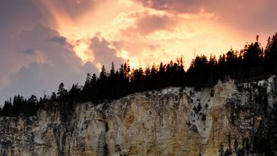 Slope trees sunset 4k wallpaper