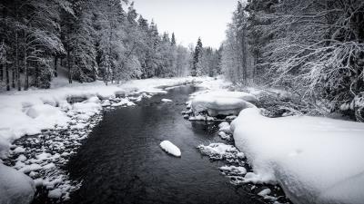 Snow river forest 4k wallpaper