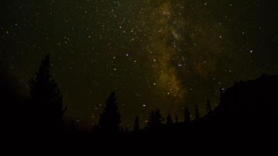 Space starry sky trees 4k wallpaper