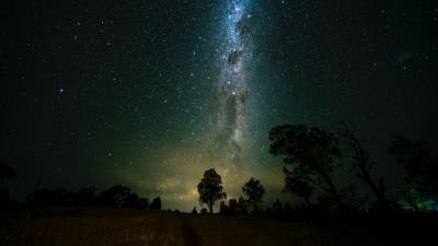 Space trees starry sky 4k wallpaper