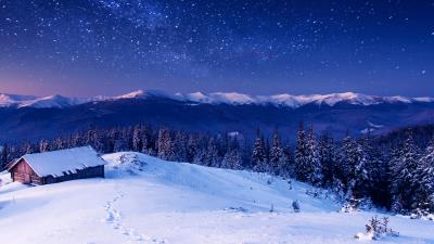 Star forest night home mountains trees 4k wallpaper
