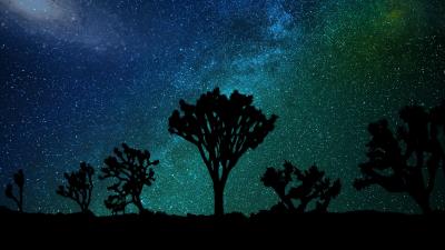 Starry sky milky way joshua tree 4k wallpaper