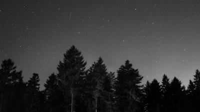 Starry sky night bw 4k wallpaper