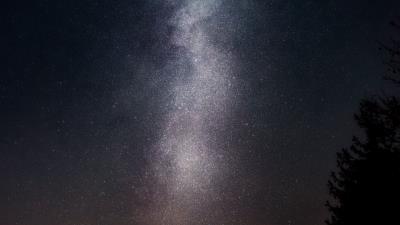 Starry sky night stars tree 4k wallpaper