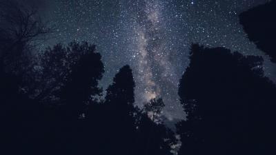 Starry sky night stars trees image 4k wallpaper