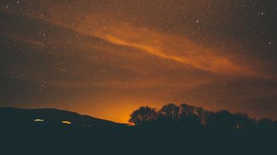 Starry sky night stars trees 4k wallpaper