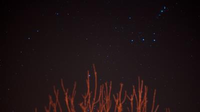 Starry sky stars branches 4k wallpaper