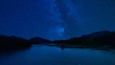 Starry sky stars forest 4k wallpaper