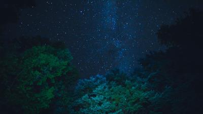 Starry sky stars night trees image 4k wallpaper