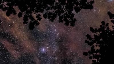 Starry sky stars trees glitter 4k wallpaper