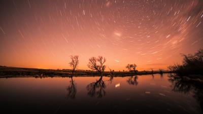 Starry sky stars trees 4k wallpaper