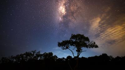 Starry sky tree milky way radiance 4k wallpaper