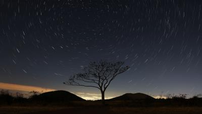 Starry sky tree sky night 4k wallpaper