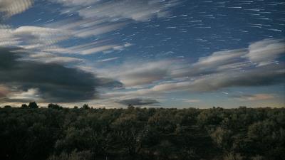 Starry sky trees clouds 4k wallpaper