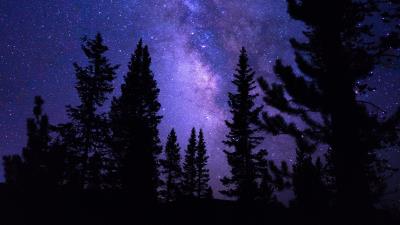 Starry sky trees night f 4k wallpaper