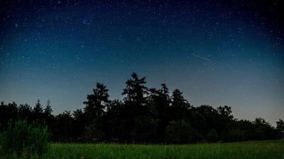 Starry sky trees night h 4k wallpaper