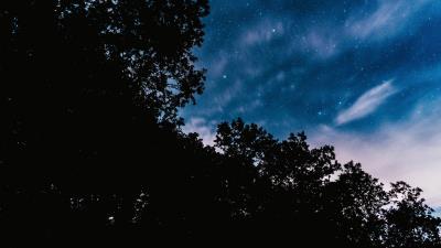 Starry sky trees night image 4k wallpaper