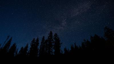 Starry sky trees night radiance image 4k wallpaper