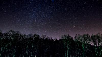 Starry sky trees night shine 4k wallpaper
