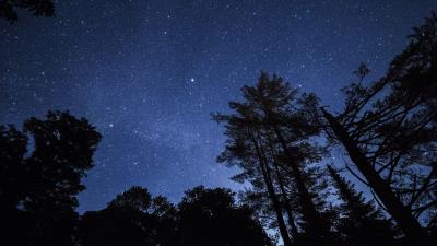 Starry sky trees stars night 4k wallpaper
