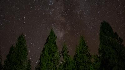 Starry sky trees stars 4k wallpaper