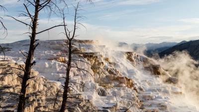 Steam trees ice 4k wallpaper