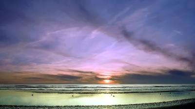 sky horizon clouds birds flight ease pastel coast 4k wallpaper