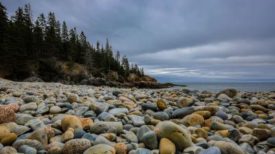 Stones beach forest 4k wallpaper