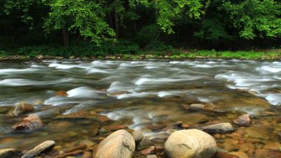 Stones river trees 4k wallpaper
