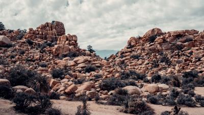 Stones rocks bushes 4k wallpaper